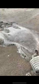 اضغط على الصورة لعرض أكبر.   الإسم:	366321cf-138f-4fb5-b658-33e9060c35b3.jpg  مشاهدات:	0  الحجم:	30.7 KB  الهوية:	10989